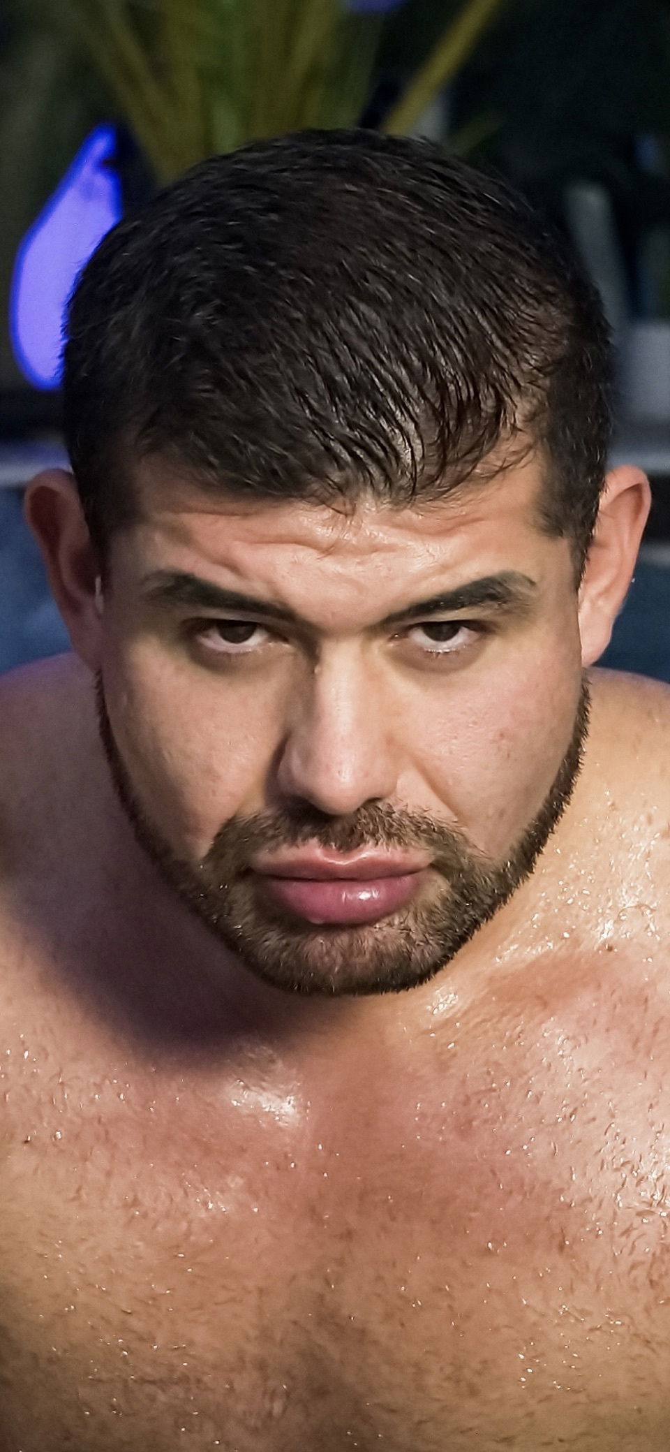 Felipe Teleas profile banner