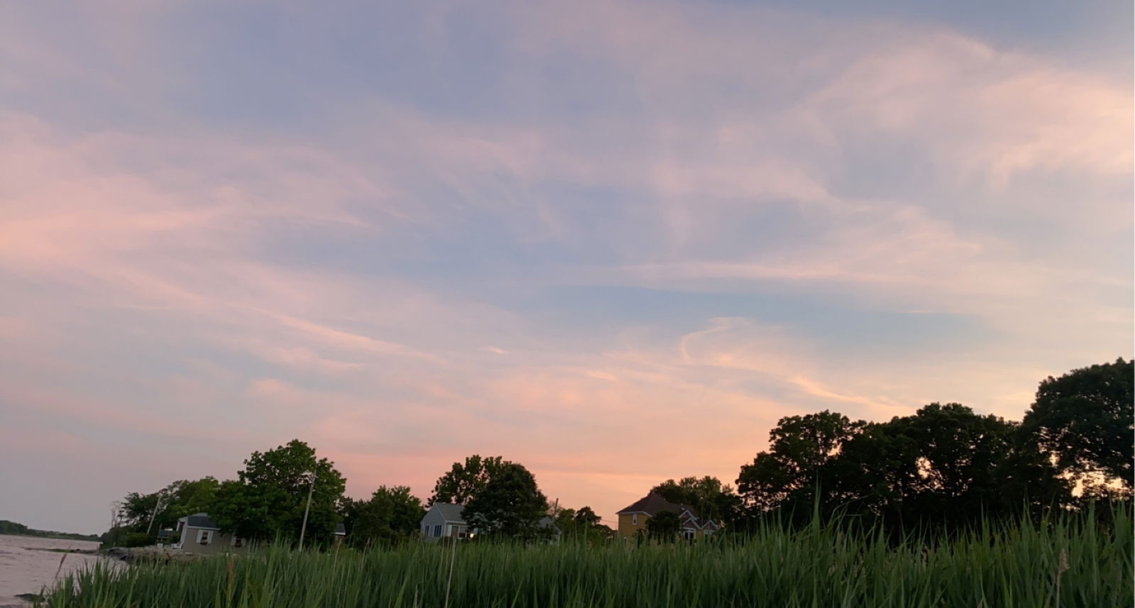 Strawberry profile banner