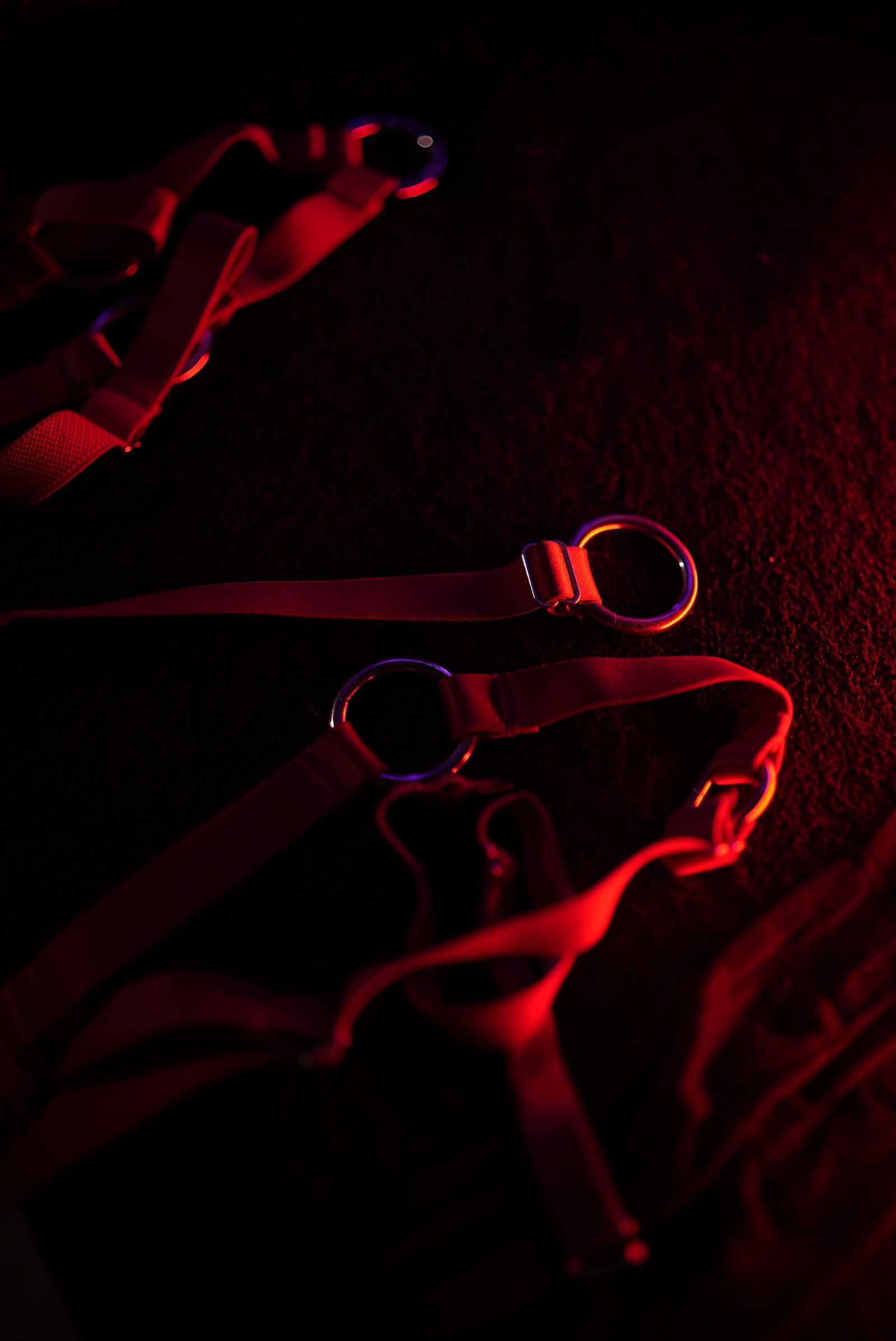 Cammiil Fênix profile banner