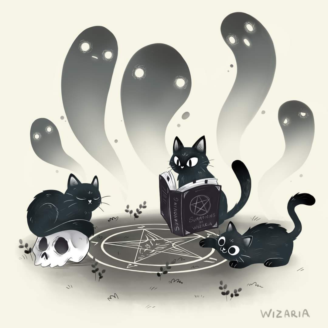 Kittysepulcher profile banner
