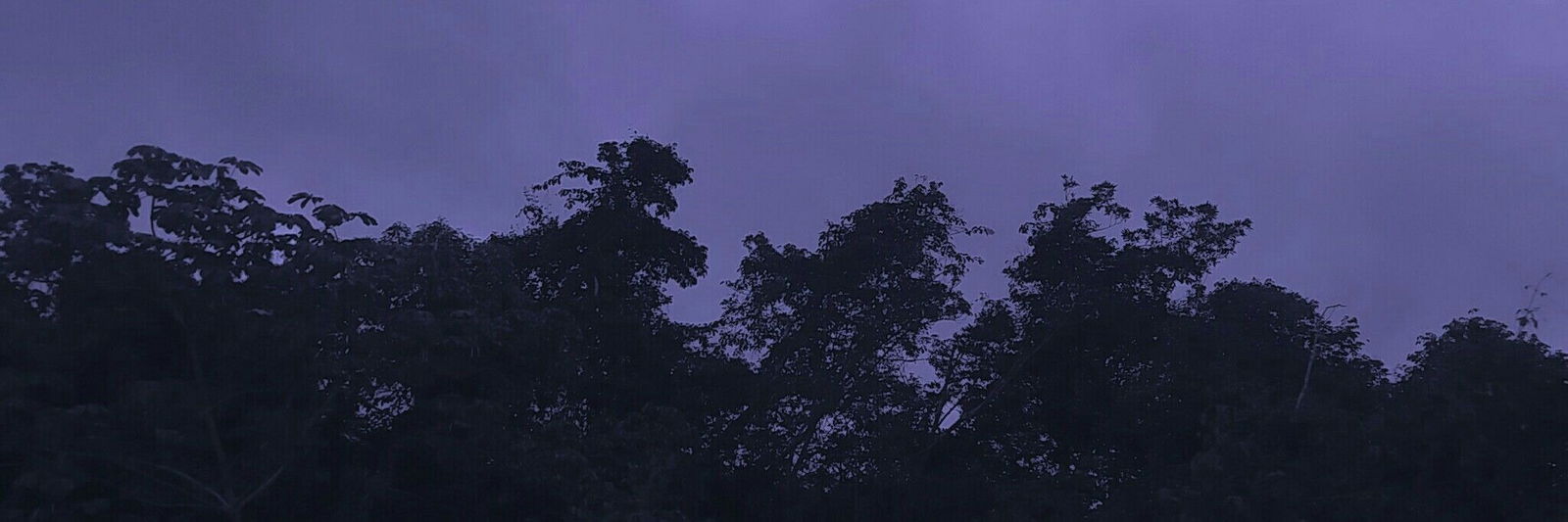 FetishLover profile banner