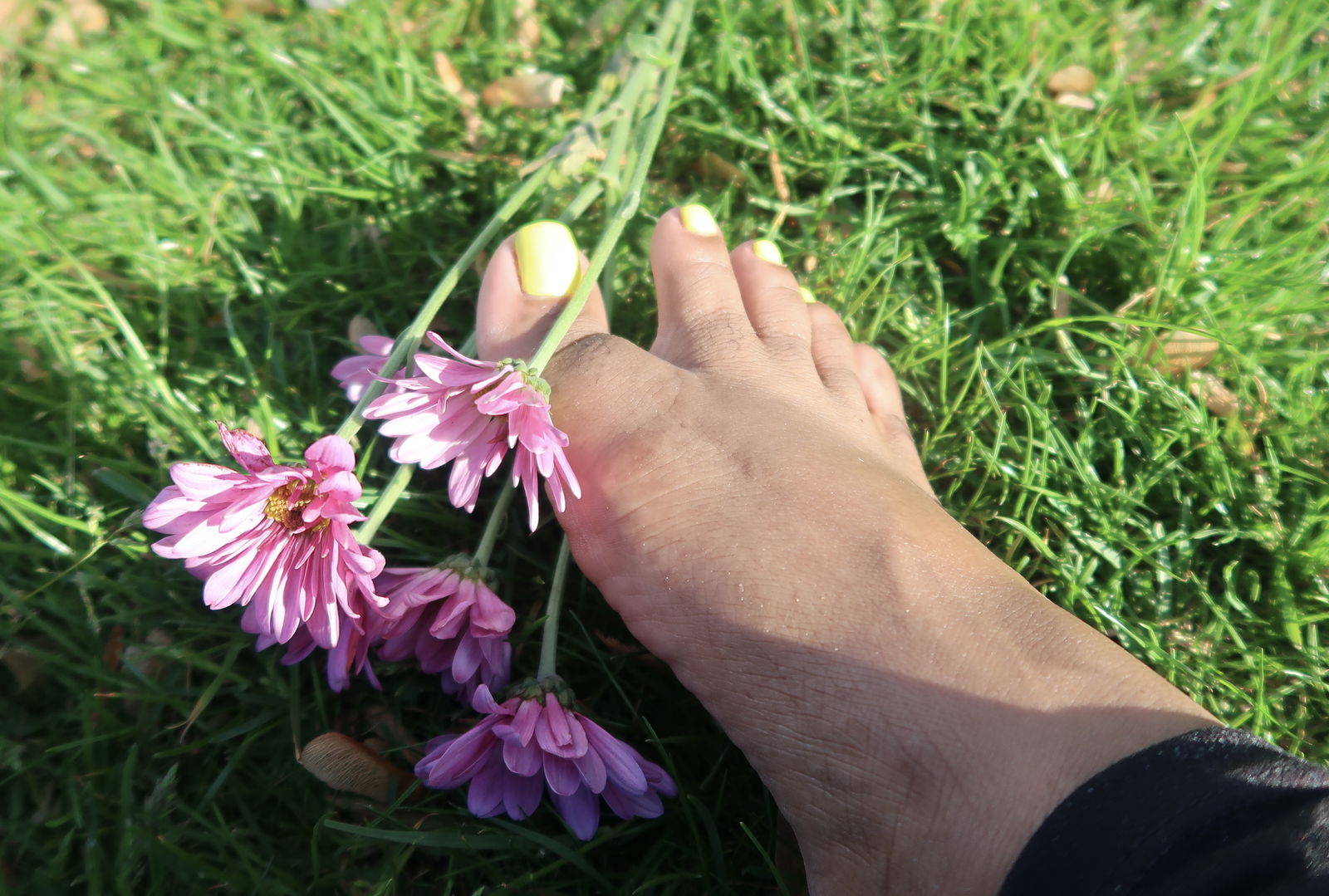 Feetqueen4 profile banner