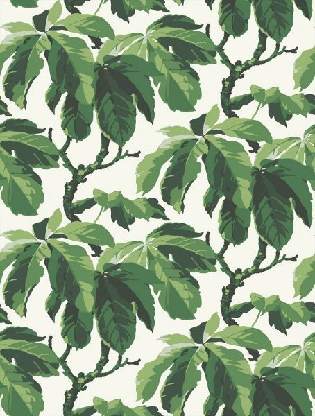 FigLeafX profile banner