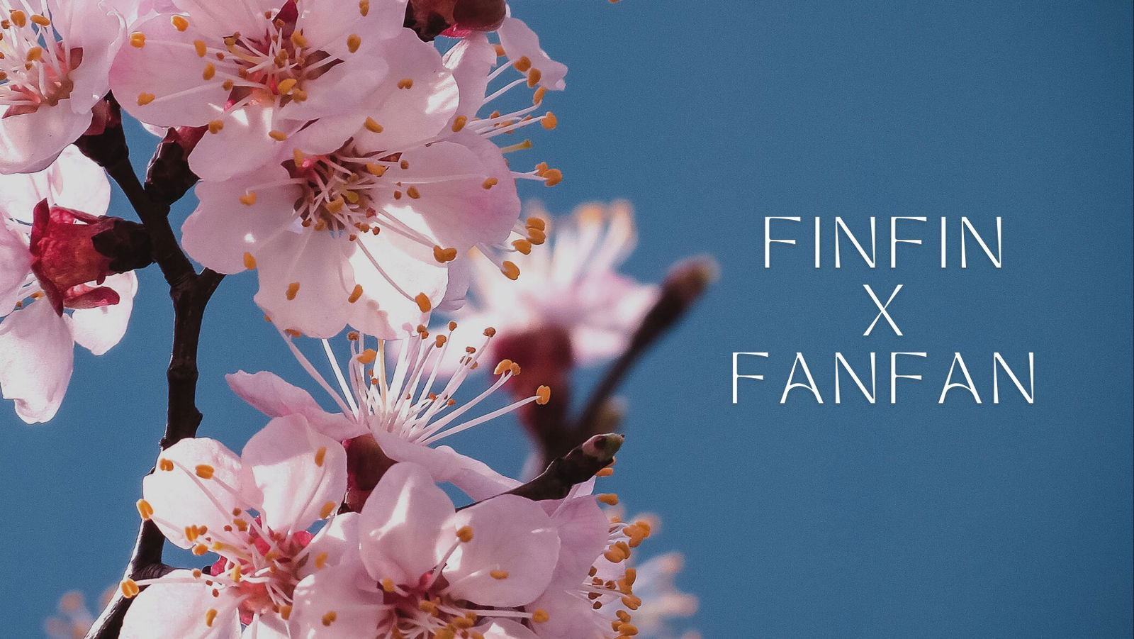 finfinxfanfan profile banner
