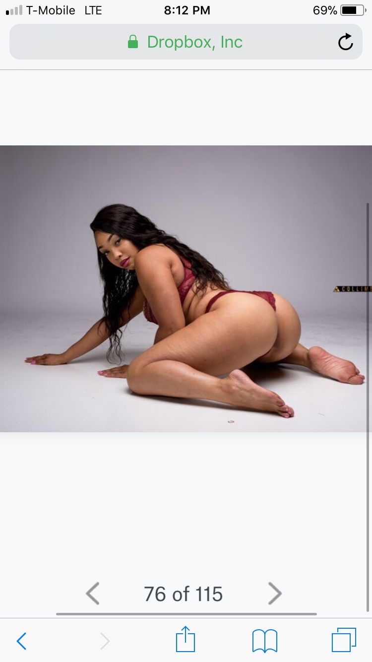 Safari Red profile banner
