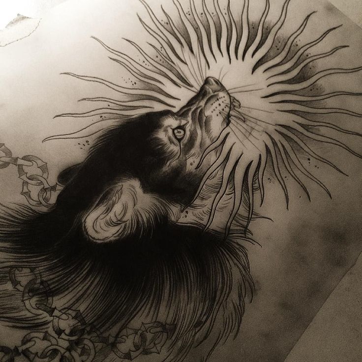 Fizgig1913 profile banner