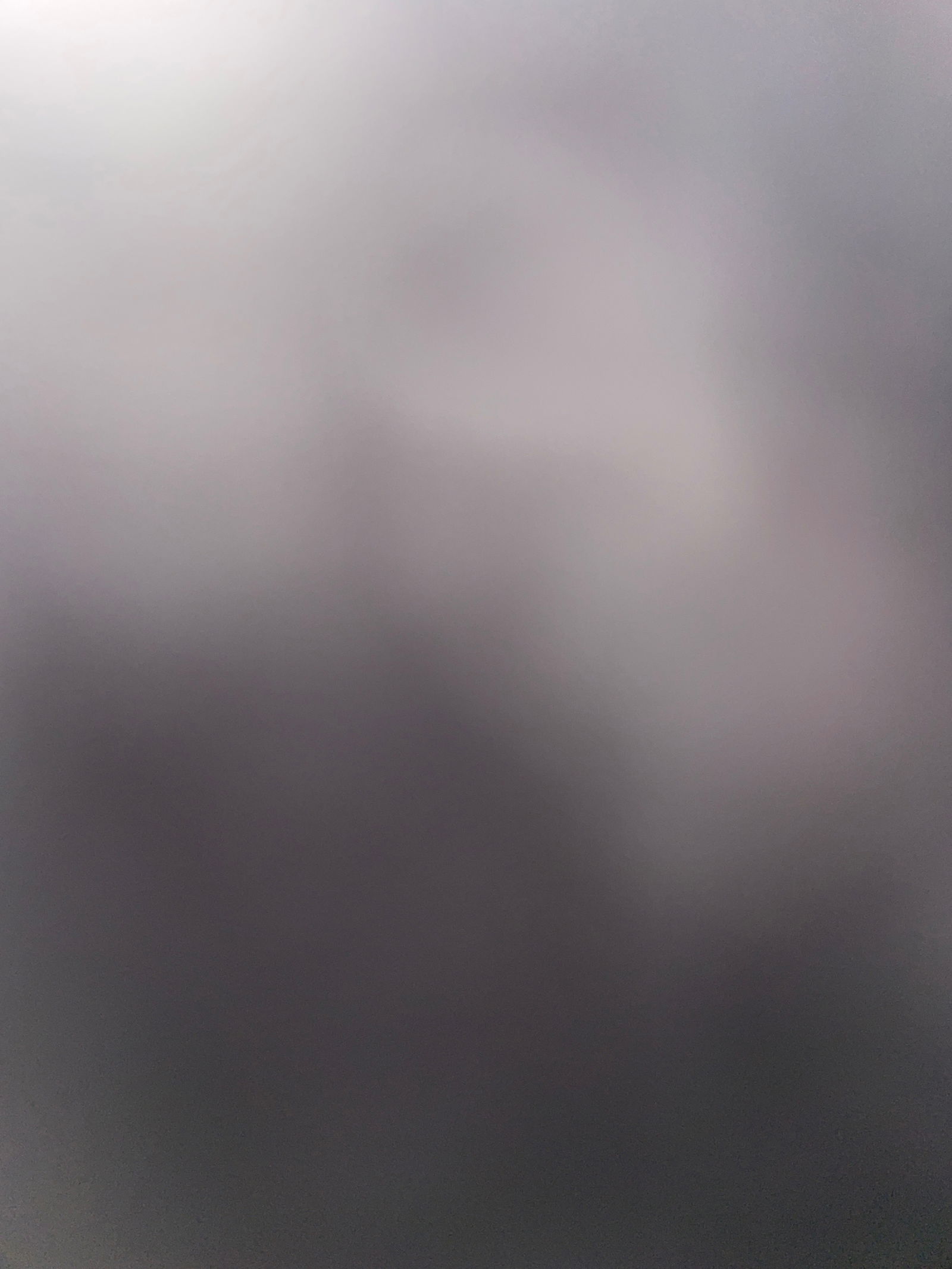 Bee123 profile banner