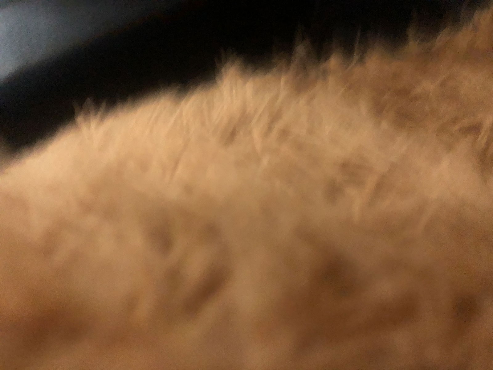 Ft profile banner