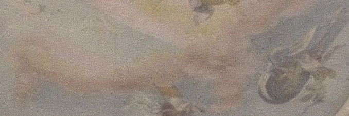 princess profile banner