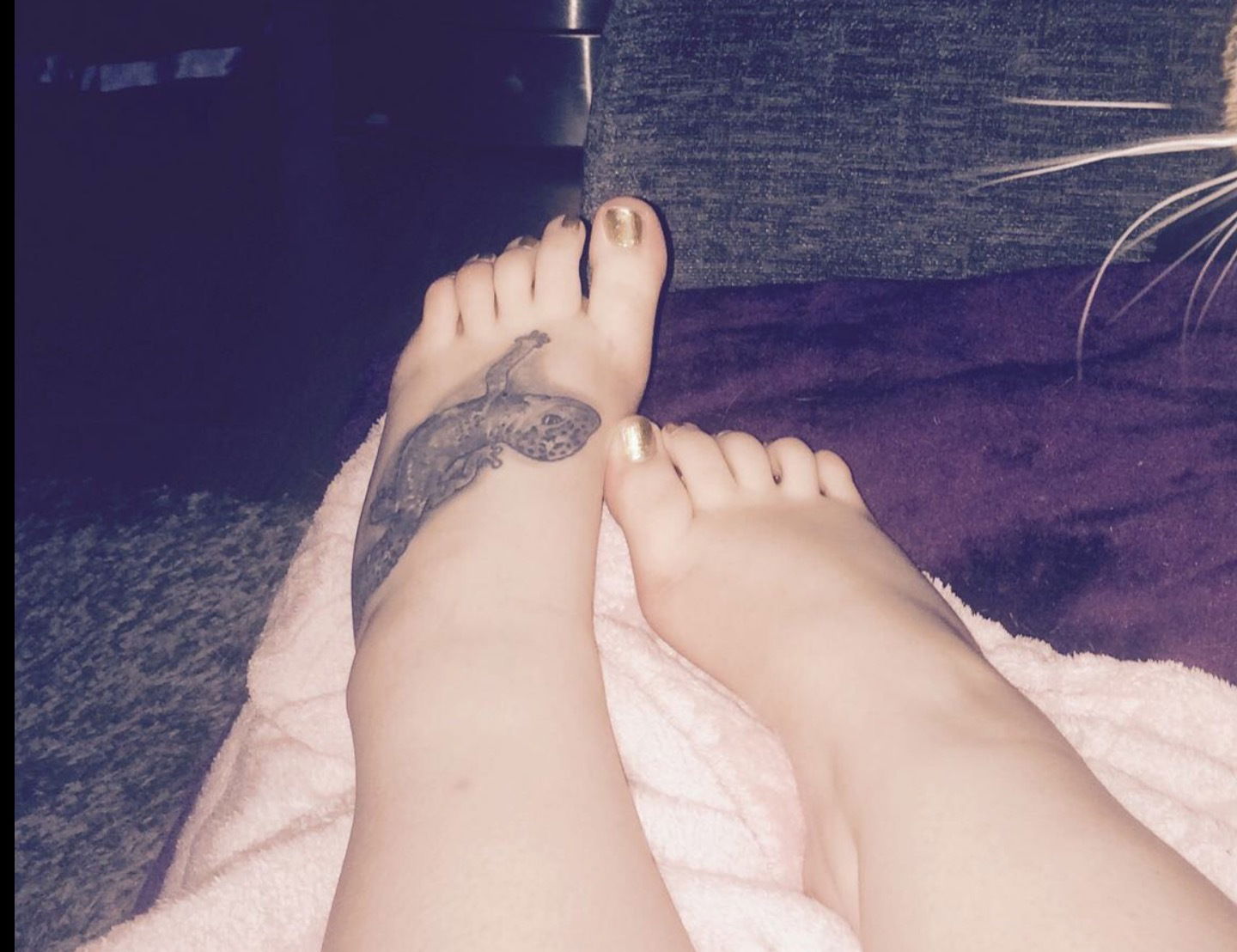 Foottopia👣❤️🔥 profile banner