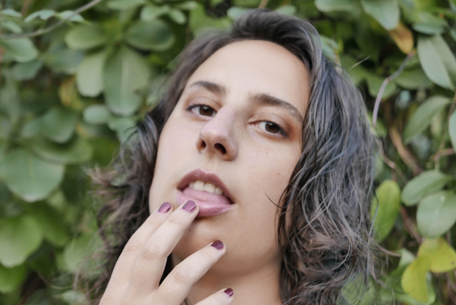 Forest Habibi profile banner