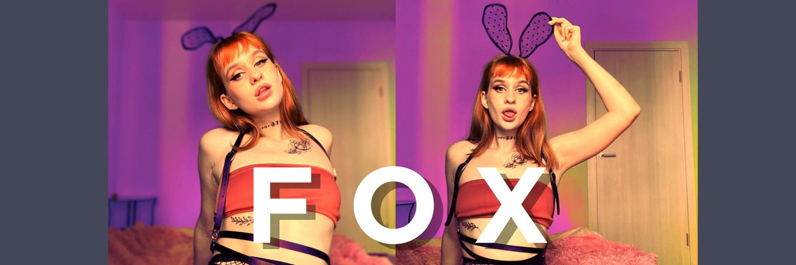 FOX 🦊 profile banner
