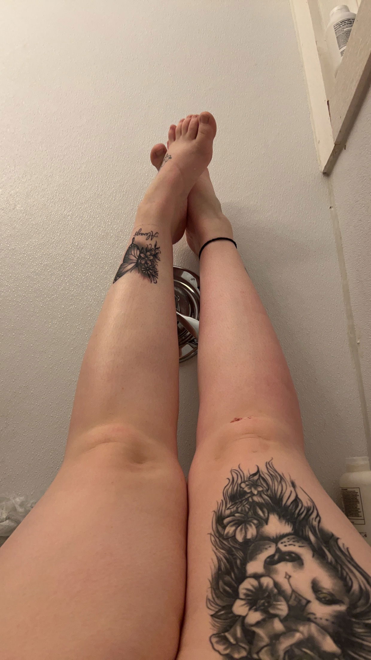 BBW 😈😈 profile banner