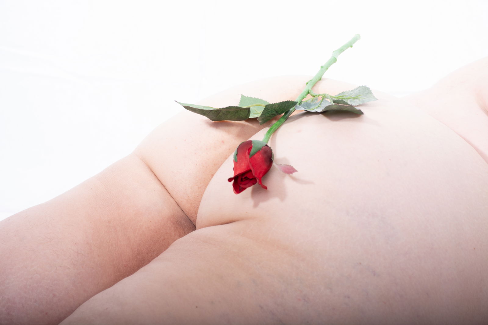 foxyrose banner