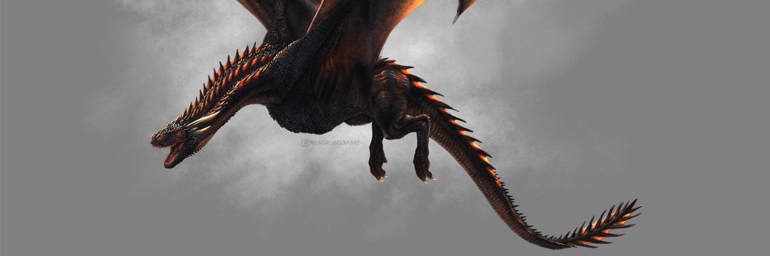 Frank Dracarys profile banner