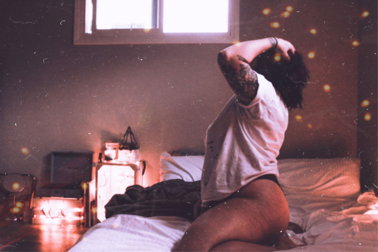 Frankie profile banner