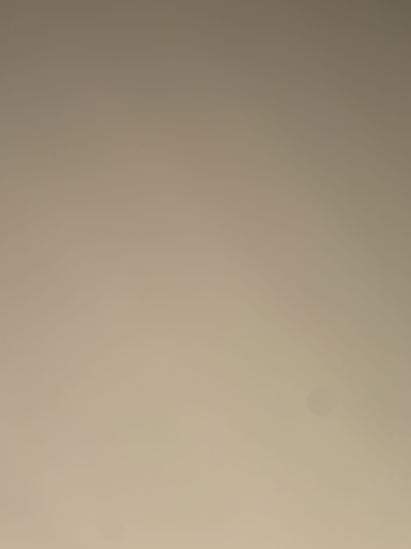 DaisyBunni π°π profile banner