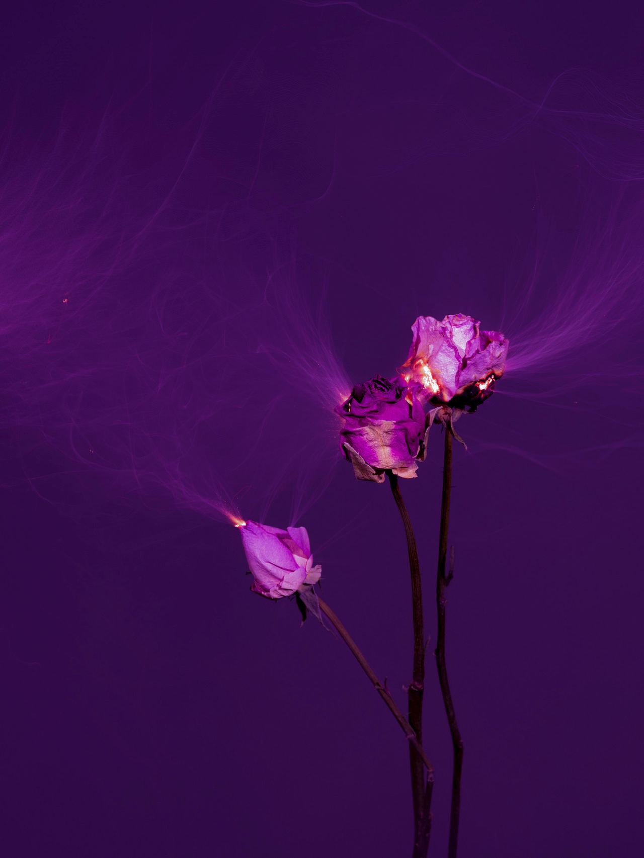Lu$t profile banner