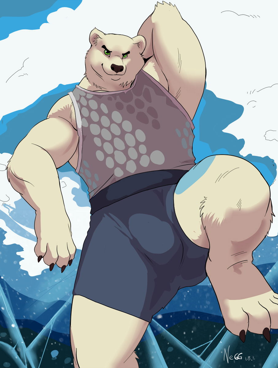 Northbear profile banner
