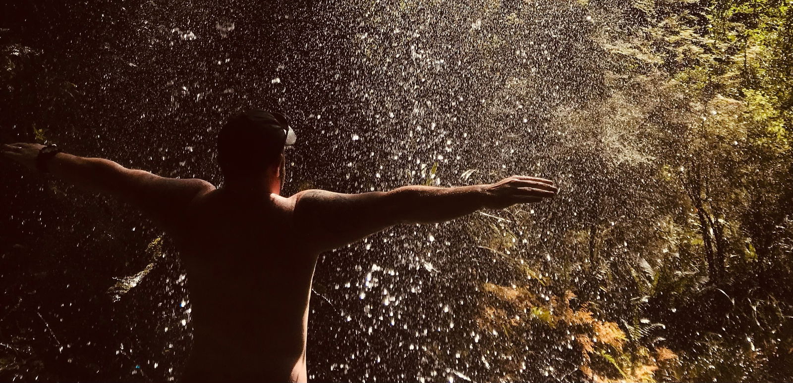 Ftmbear profile banner