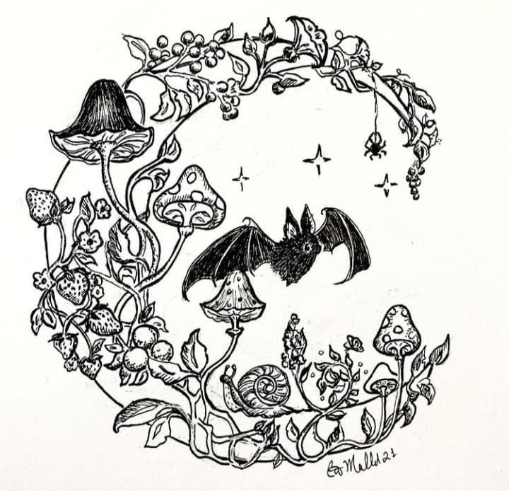πΈ flower πΈ profile banner