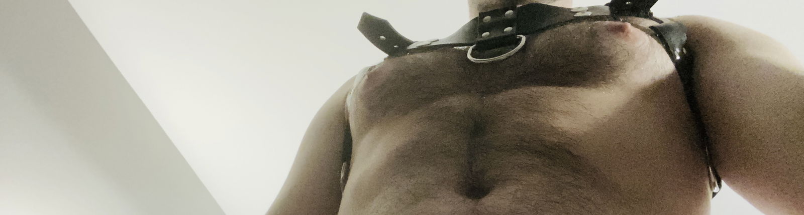 Cali Bro profile banner
