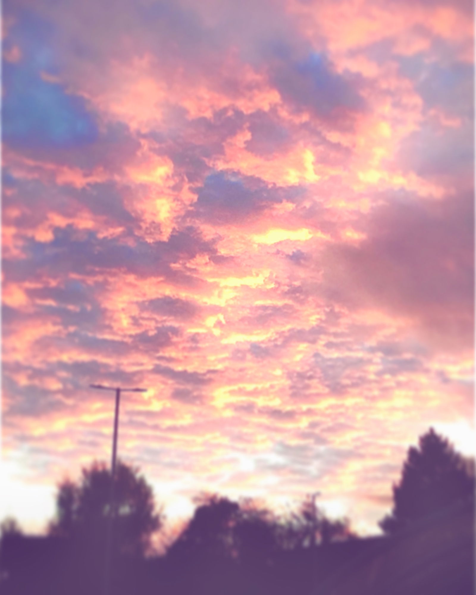 ♡ profile banner