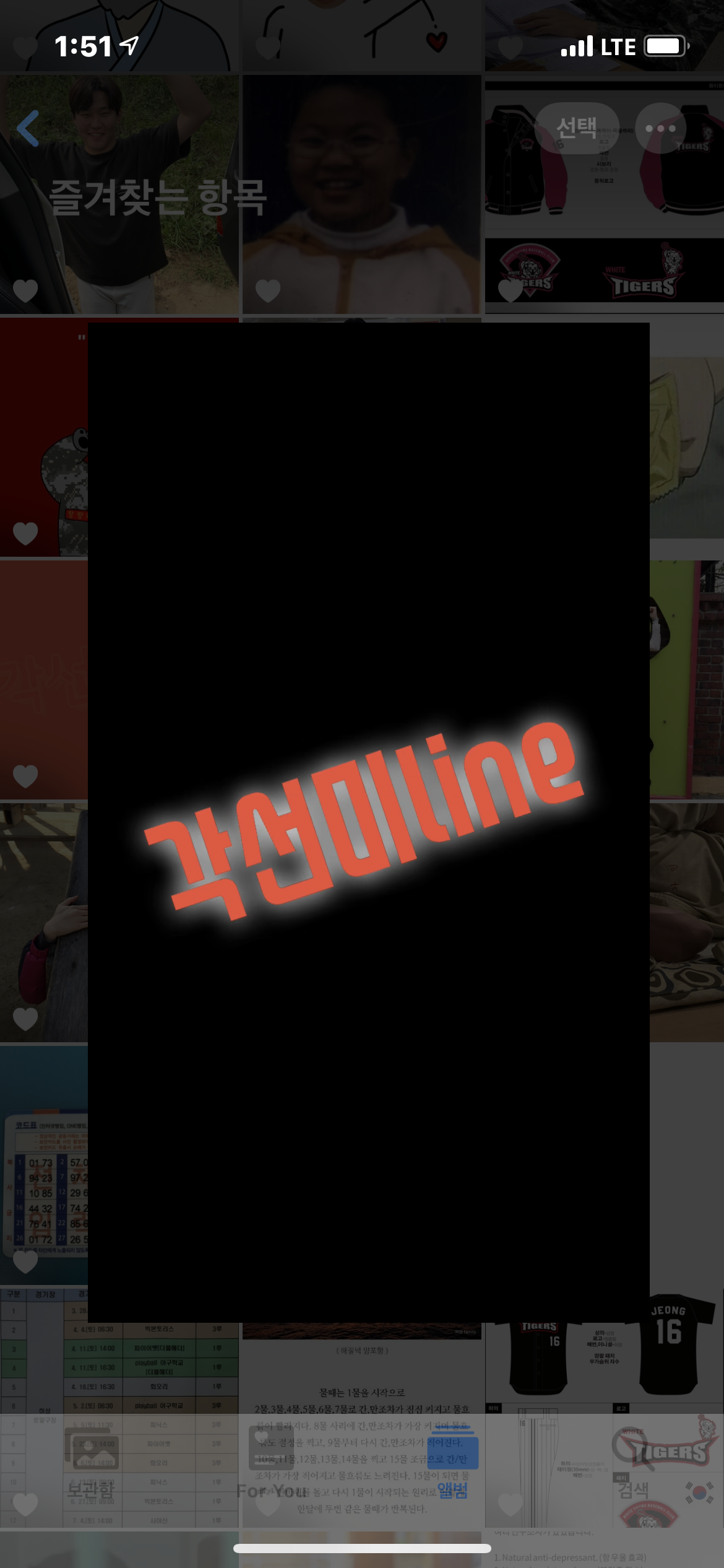 각선미line profile banner