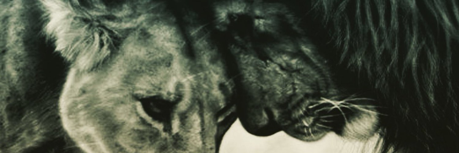 Jet profile banner