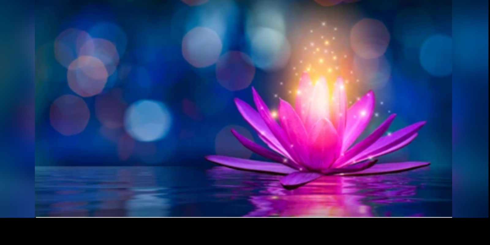 Lotus Love profile banner