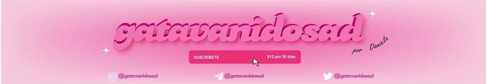 dani π profile banner