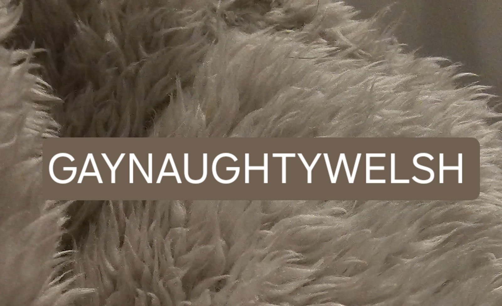 Gaynaughtywelsh.2 profile banner
