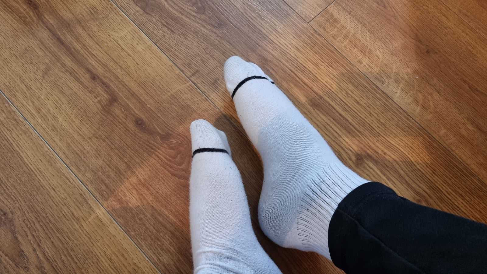 GAY socks..π§¦π profile banner
