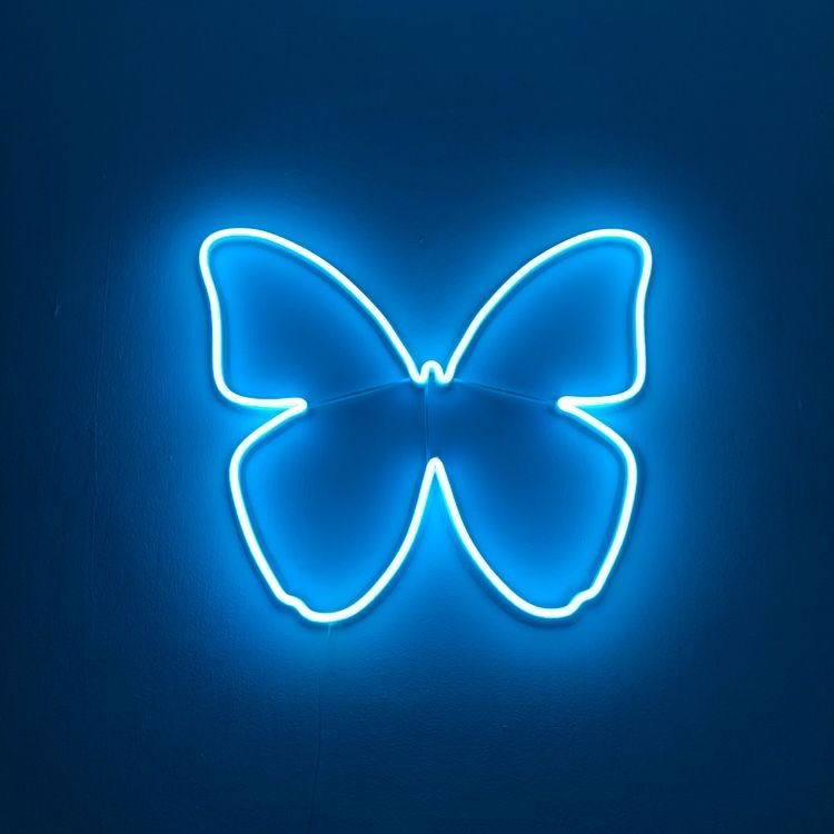 π¦ profile banner
