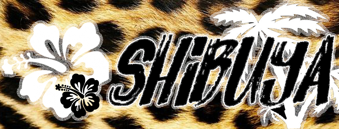 ζΈθ°· ππ½πΎπ·πππΆ π·ππ πΊβ¨ profile banner