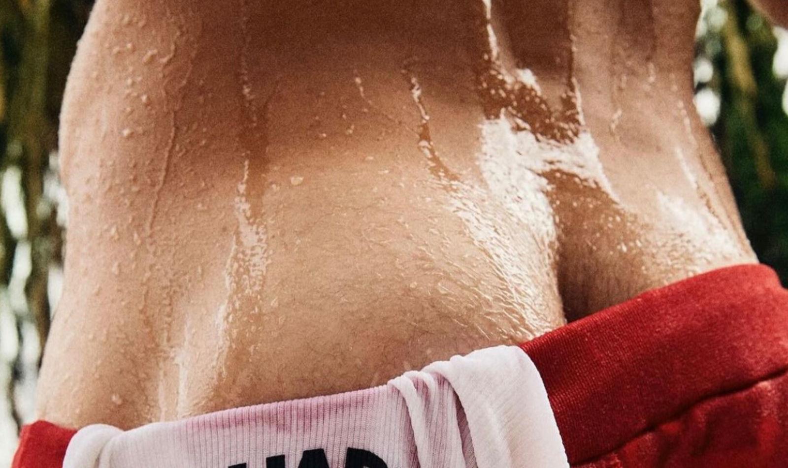 πΆππππππππ π·πππ 0.1% profile banner
