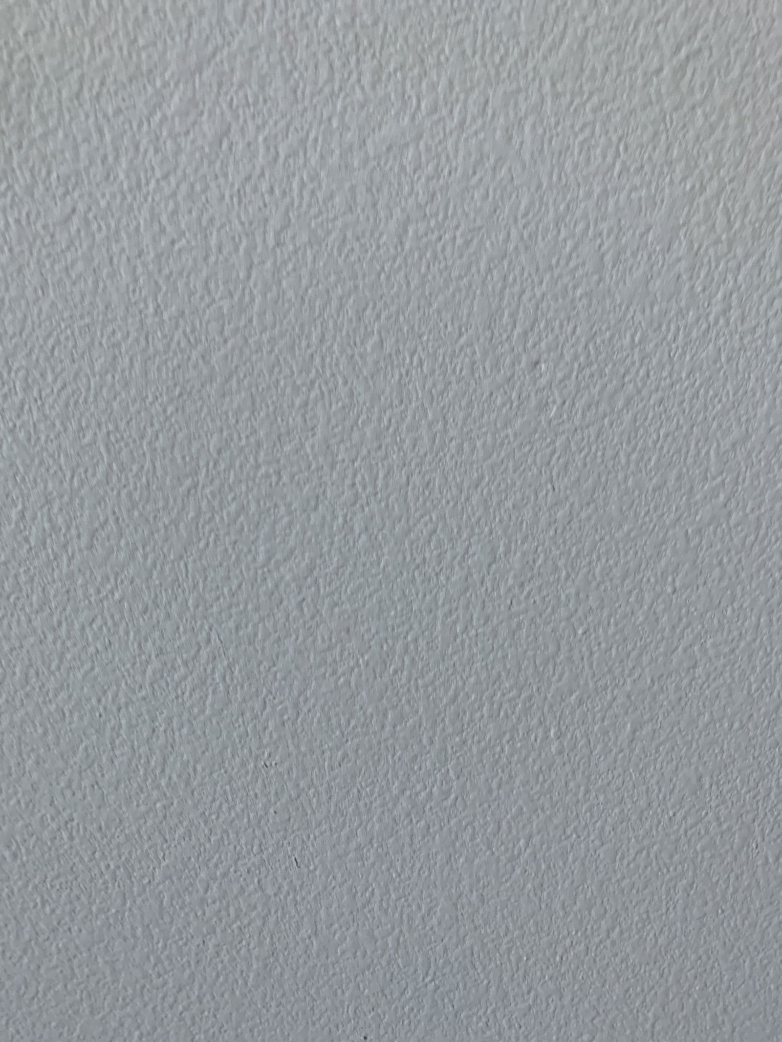 u56053839 profile banner