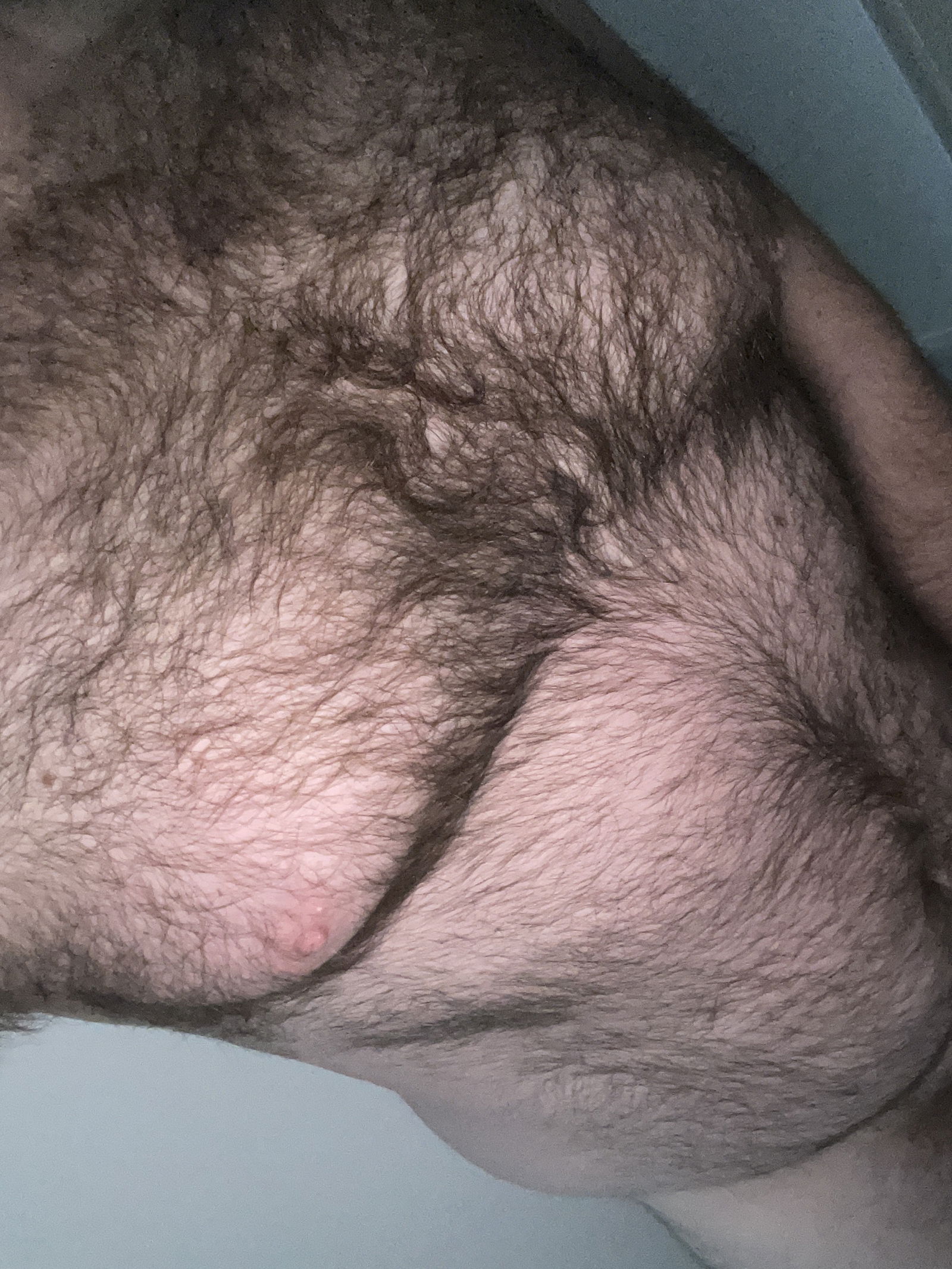 Glasgow Bear Cub profile banner