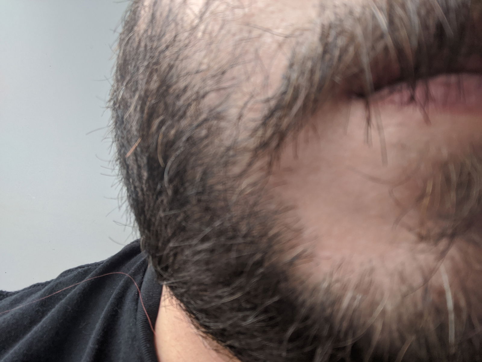 beard profile banner