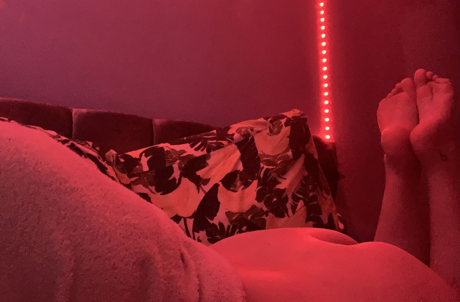 Lottie profile banner