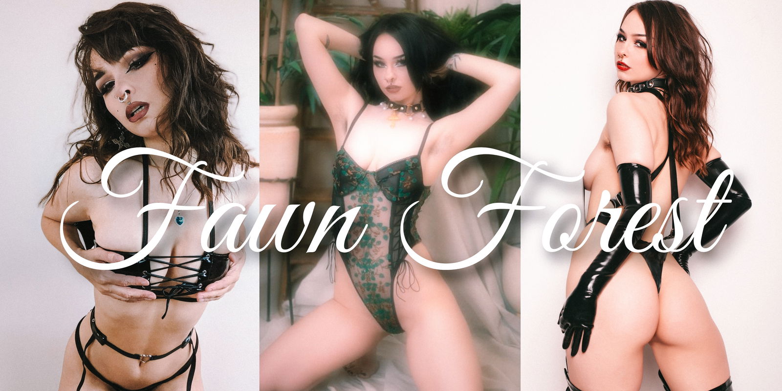 ꜰᴀᴡɴ ꜰᴏʀᴇꜱᴛ profile banner
