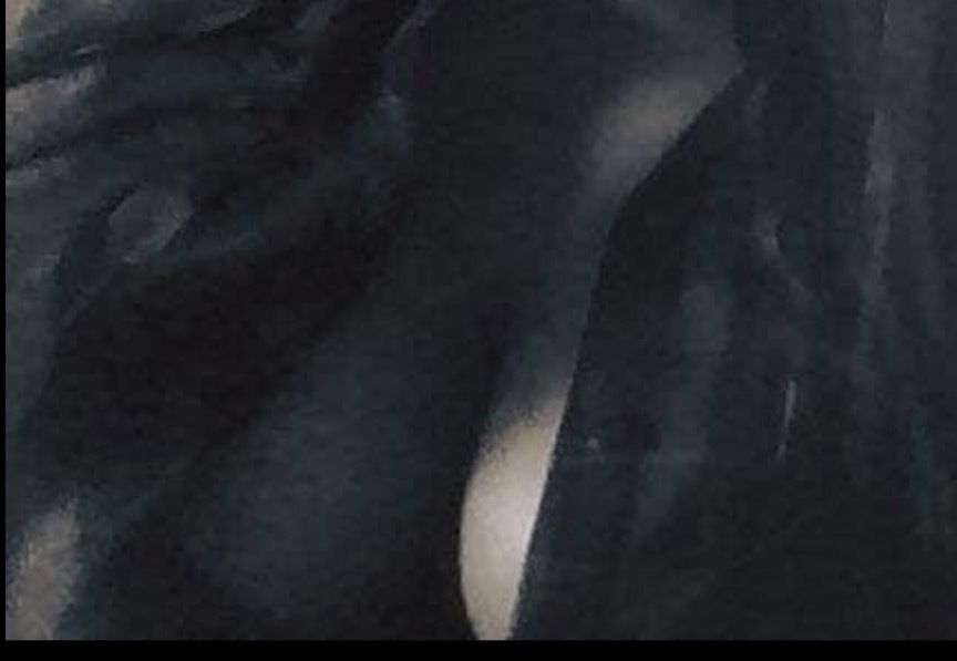 Honey bae profile banner