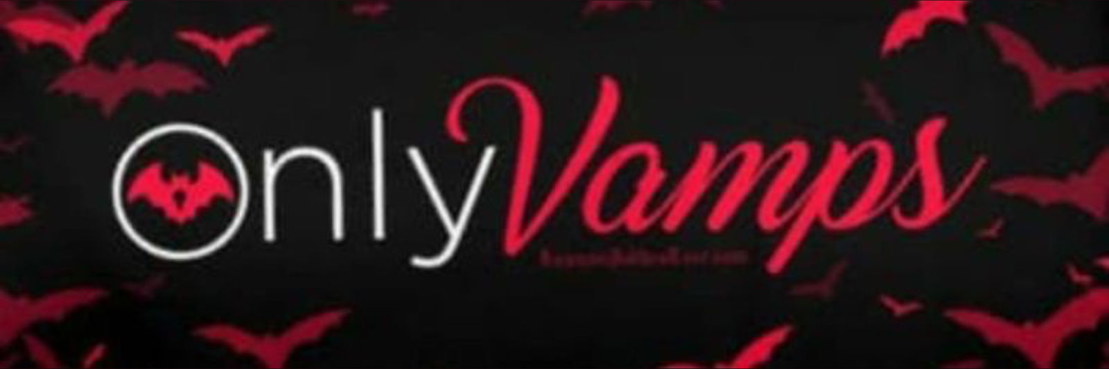 ๐๐ข๐ฏ๐ข๐ง๐ ๐๐จ๐๐๐๐ฌ๐ฌ ๐ฉโก๐ช profile banner