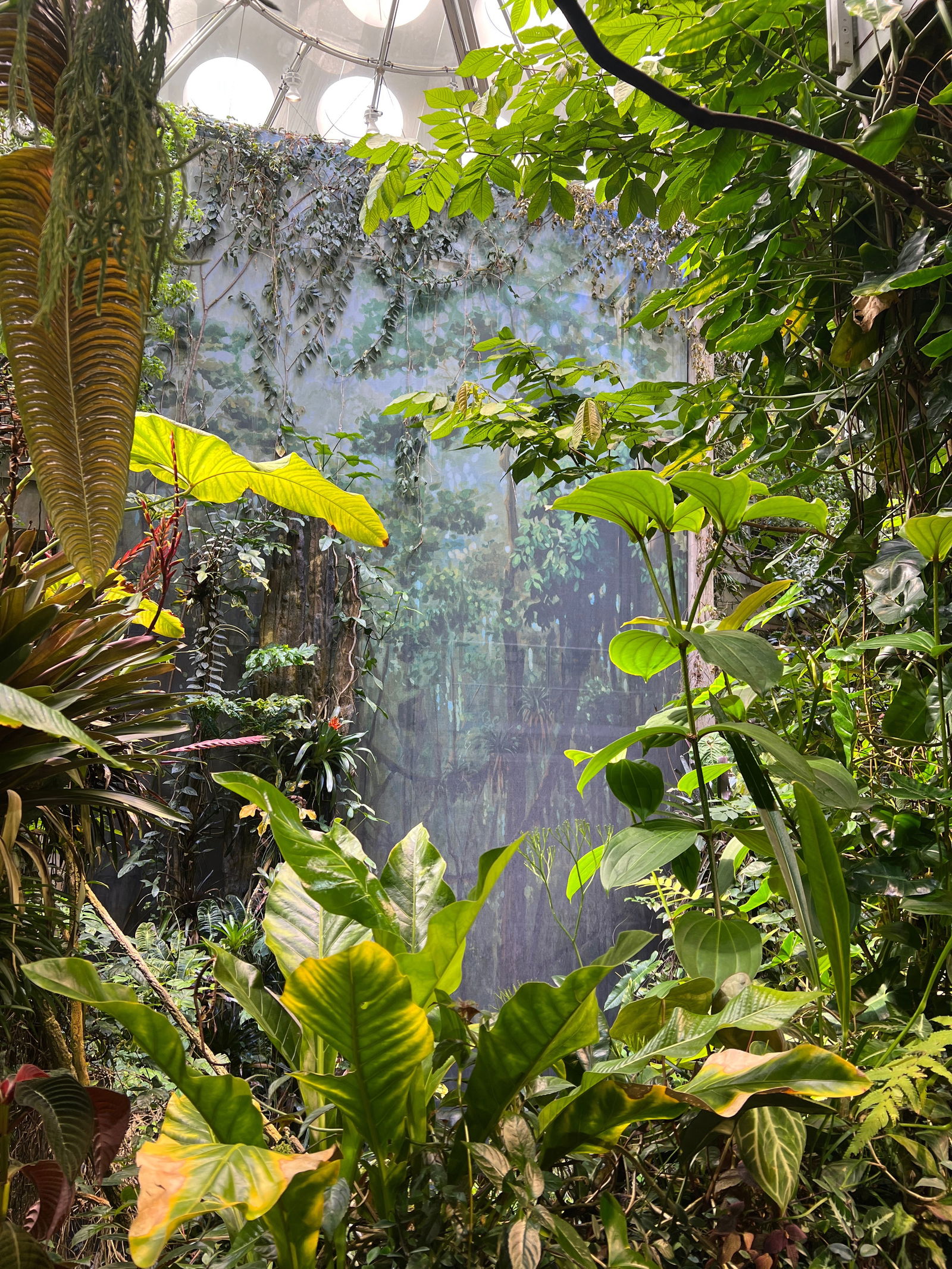 Green Brazilian (S)Witch πΏ profile banner