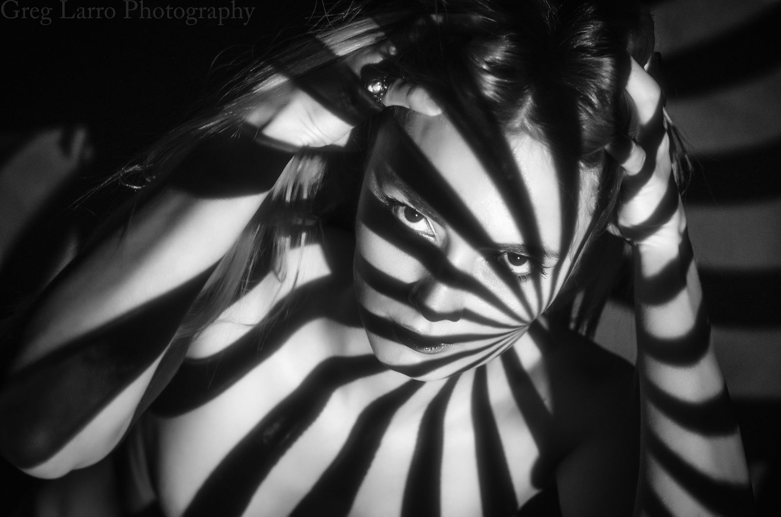 Greg Larro Photography profile banner