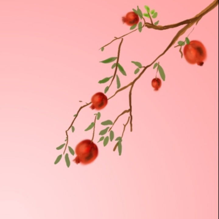 Grenadinex profile banner