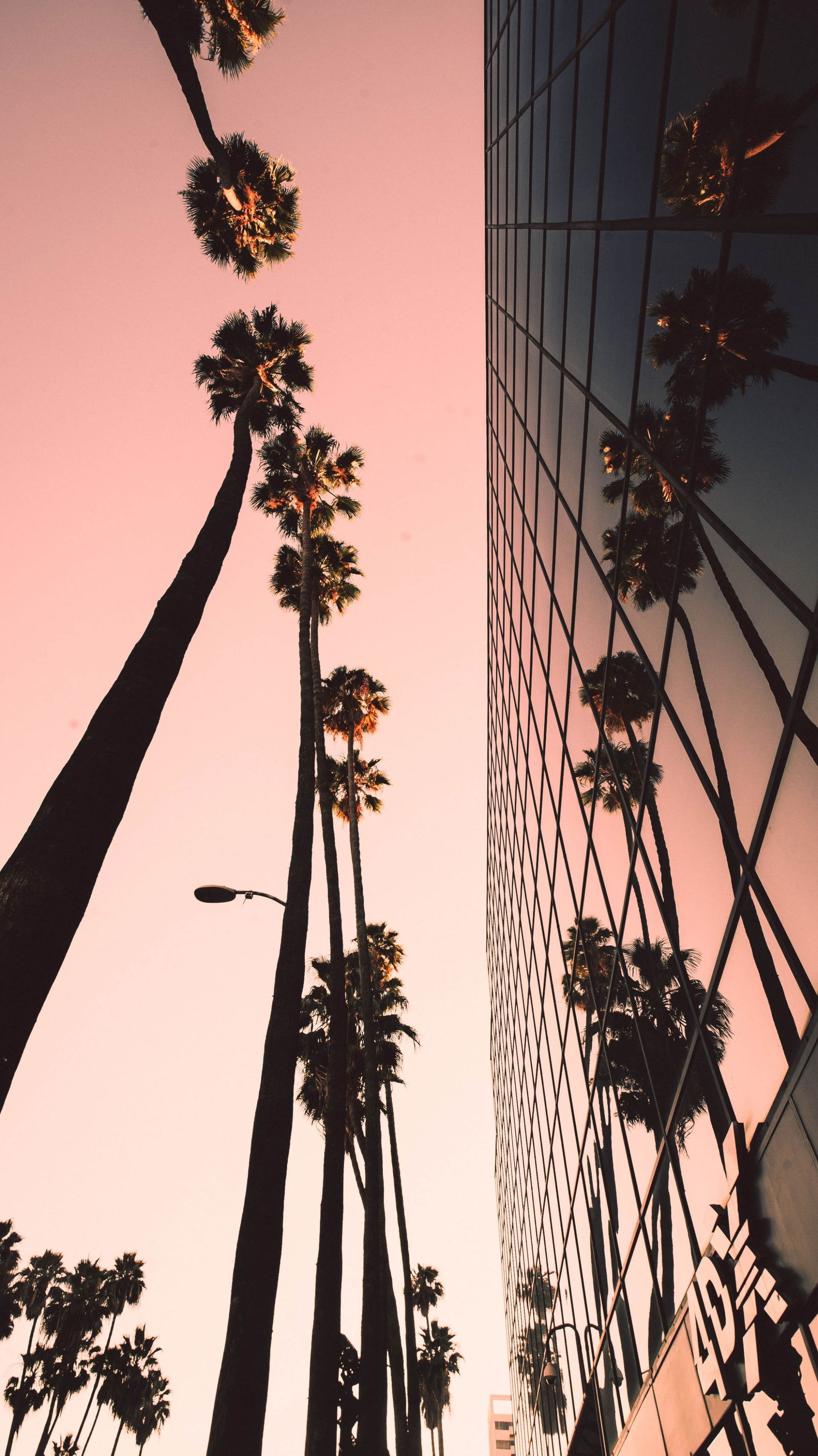 Greyson Kingg ♛ profile banner