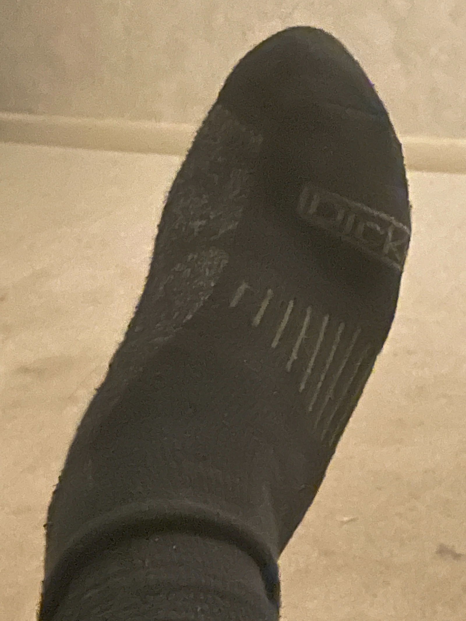 Grizzly Feet profile banner