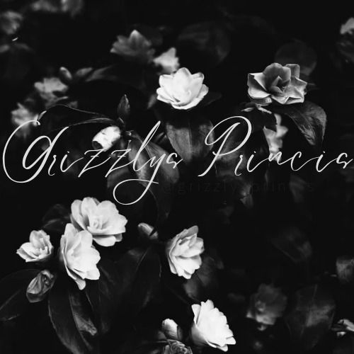 Honey Grizzly profile banner