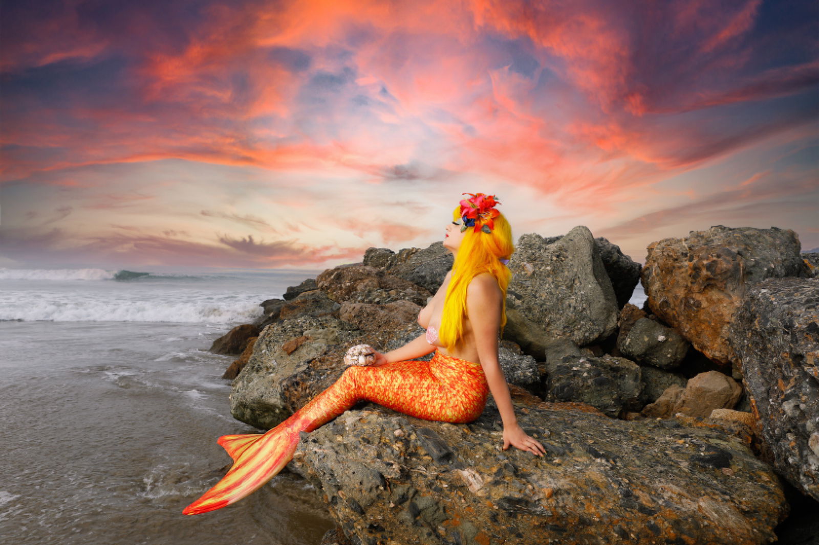 Daphne Gogo profile banner